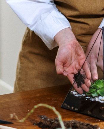 Woman making terrarium 1