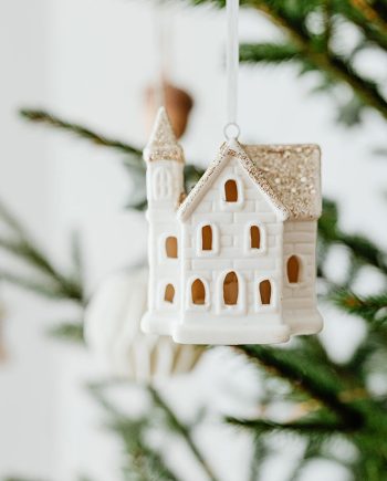 Christmas Ornament 1