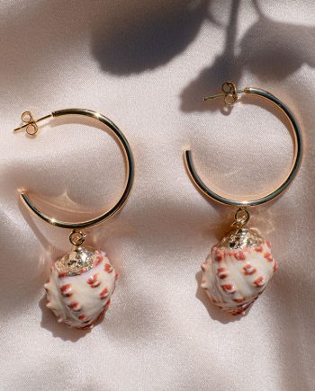 Seashell Earrings